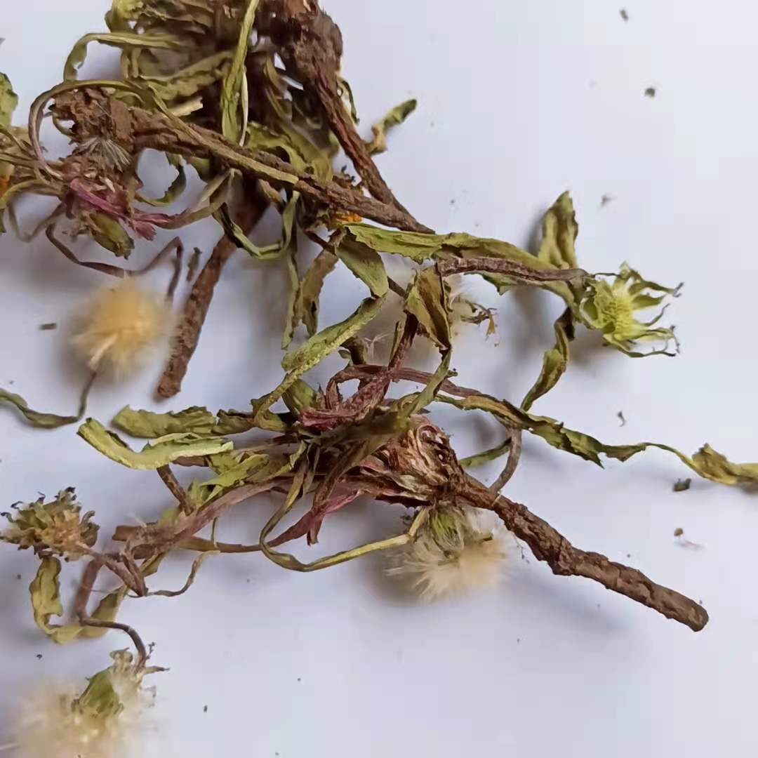 伟博21年干蒲公英茶中药材婆婆丁整棵带根晒干的泡水特级 5斤亏本超值