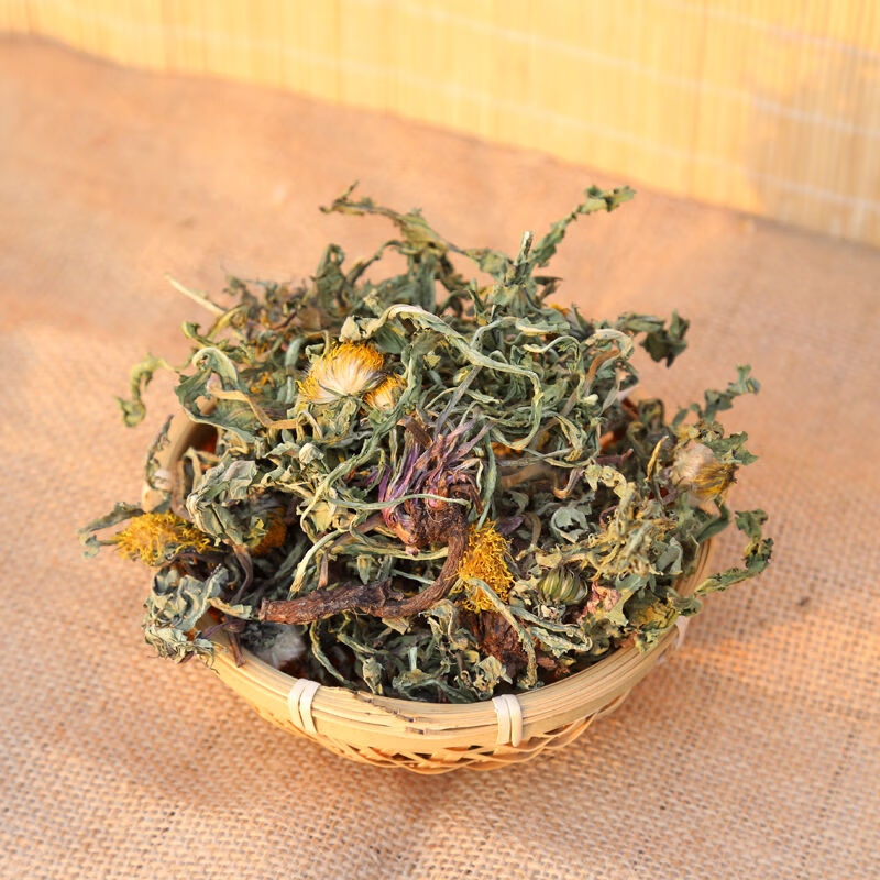 蒲公英晒干整棵带根花蒲公英茶纯野生天然中草婆婆丁新货茶浦公英 纯