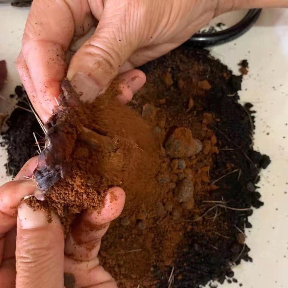 玉泉韵伟博麝香 西藏麝香 高含量养殖麝香 麝香粉 仁用 麝香仁6年1克