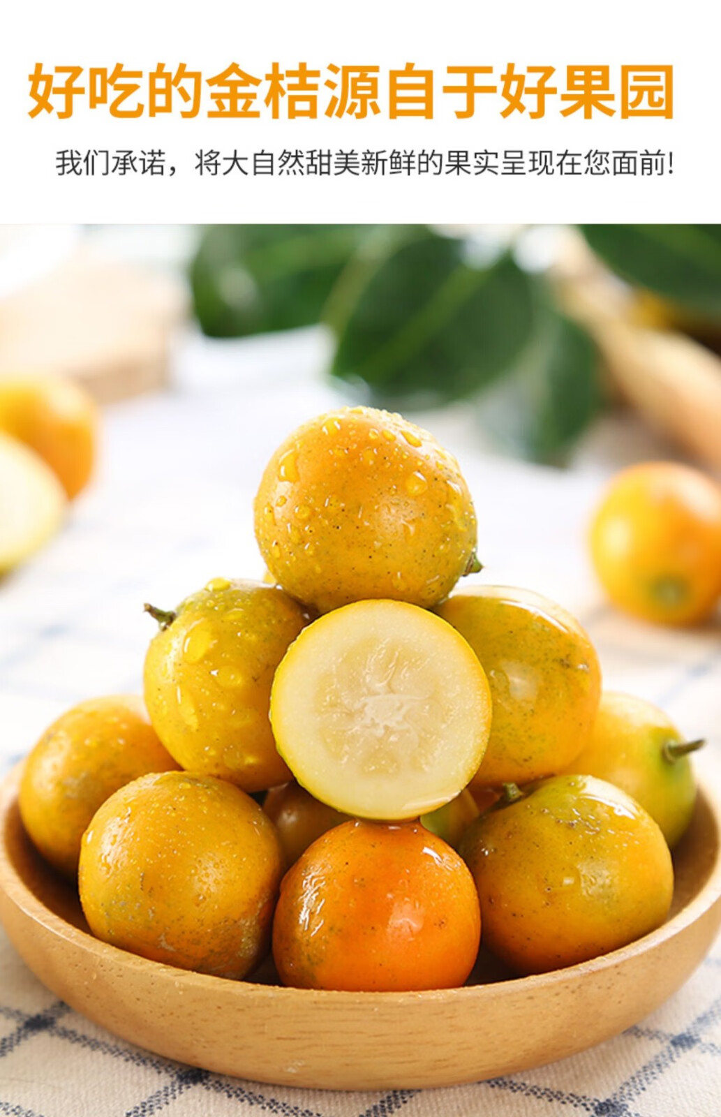 广西滑皮金桔 脆皮小金桔子新鲜水果脆蜜金柑当季时令水果脆甜 9斤大