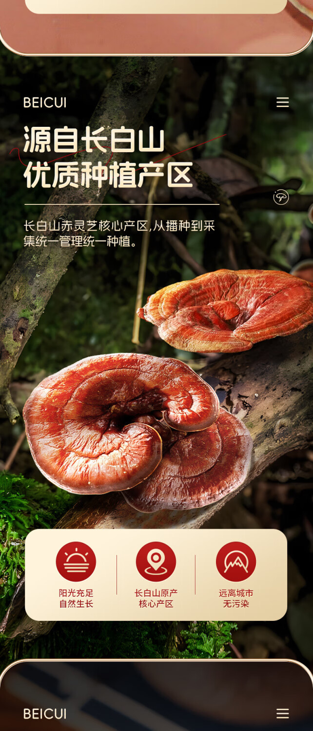 d2ee085e5f396313.jpg