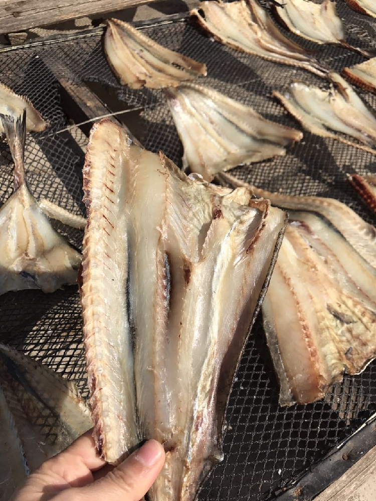 【夏日好物】阳江柴鱼干生晒无头柴鱼片500g煲汤渔家自晒海鲜鱼干货