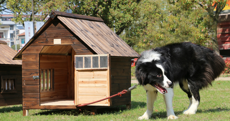 小狗窝狗舍木头房子防雨防水户外实木炭化木狗屋狗窝猫窝狗笼泰迪狗窝
