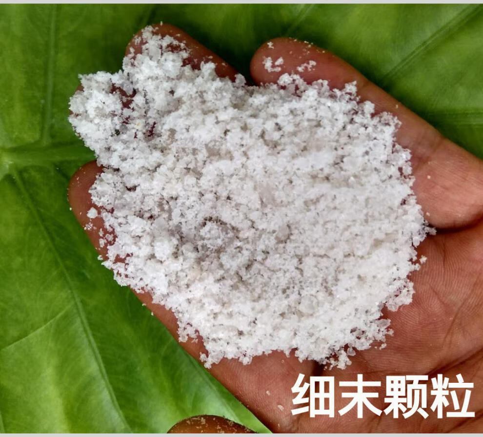 纯海盐粗盐小颗粒盐大颗粒盐海盐多用途小颗粒5斤