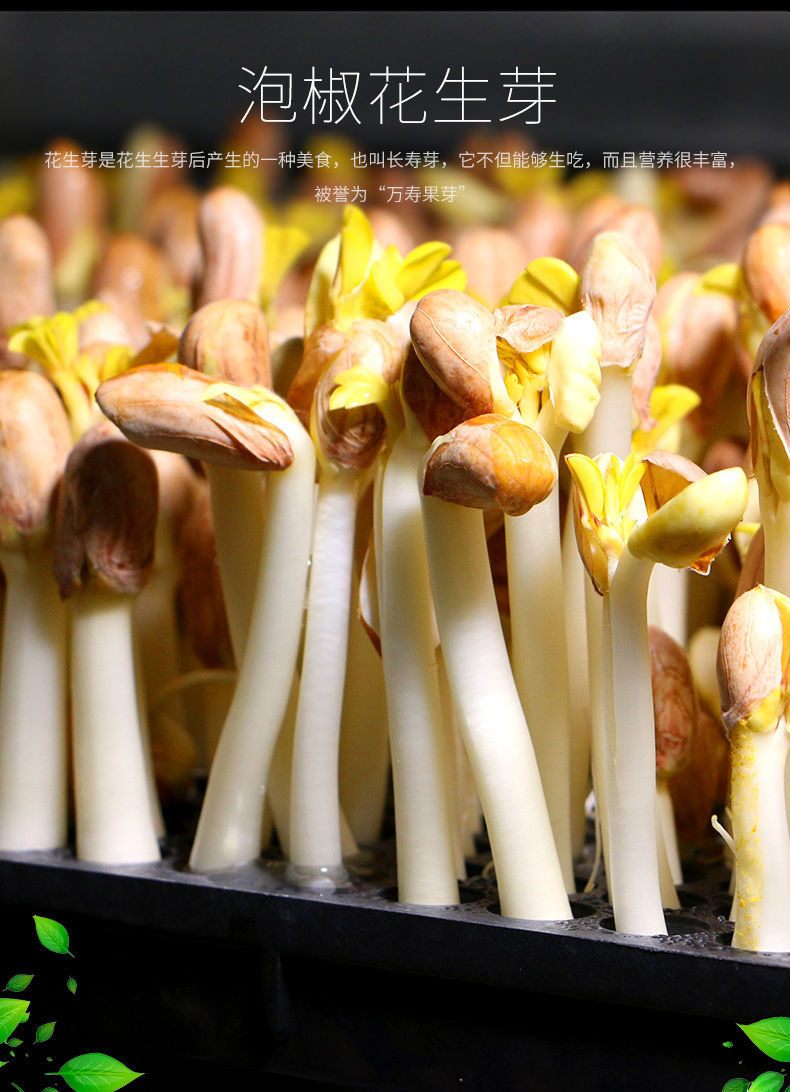 泡椒花生芽酸辣嫩花生苗开袋即食酸菜佐餐下饭菜泡菜400g装 5袋*400g