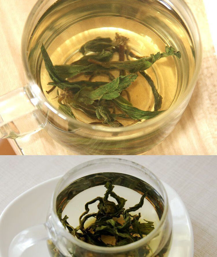 伟博野生车前草茶新鲜车前子叶茶嫩叶炒非晒干特级车前草叶子泡茶