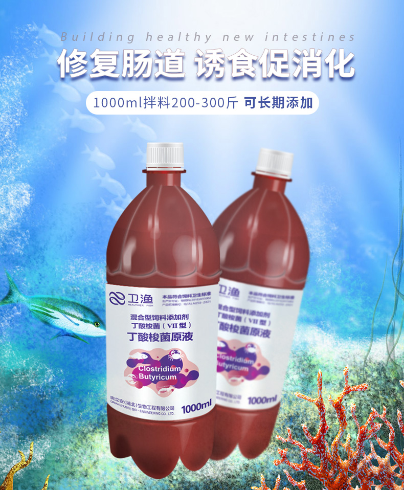 奧立安丁酸梭菌原液濃縮粉水產養殖用em菌蝦蟹魚塘調節腸道拖白便靈空