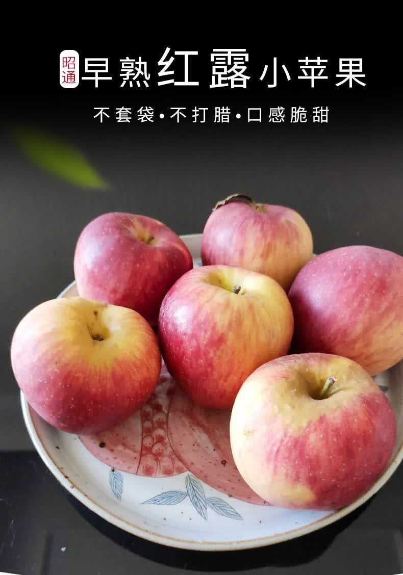 云南昭通小苹果新鲜水果红露苹果嘎嘣脆甜孕妇水果现摘5斤 2500g 65mm