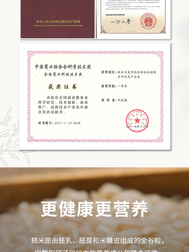 清朴堂 糙米大匠健康糙米粽子端午节礼品