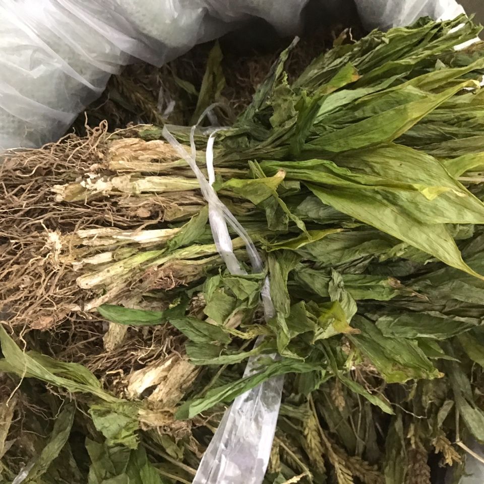 见血清中药材野生见血清羊耳蒜新货水洗新鲜干货100克250克云南