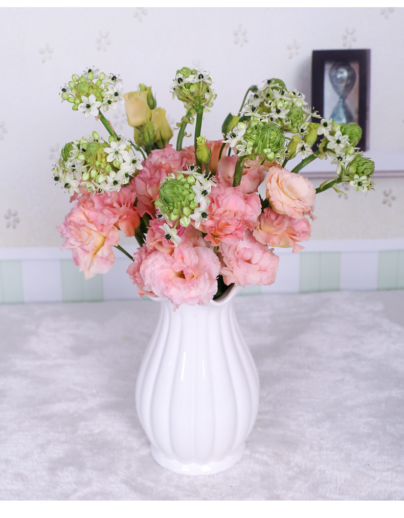 之星鲜花速递同城批发水养家用插花云南直发花束 10支天鹅绒 10支影星