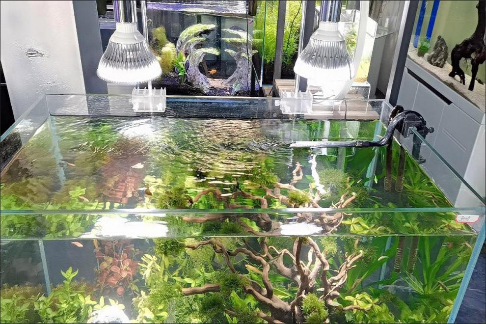 新款金鱼缸全光谱灯led全光谱爆藻灯e27螺口聚光鱼缸水草灯金鱼缸补光