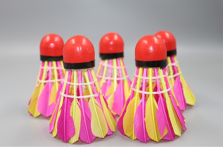 彩色羽毛球红皮头加重防风户外室外训练球耐打5只装彩色球三种颜色