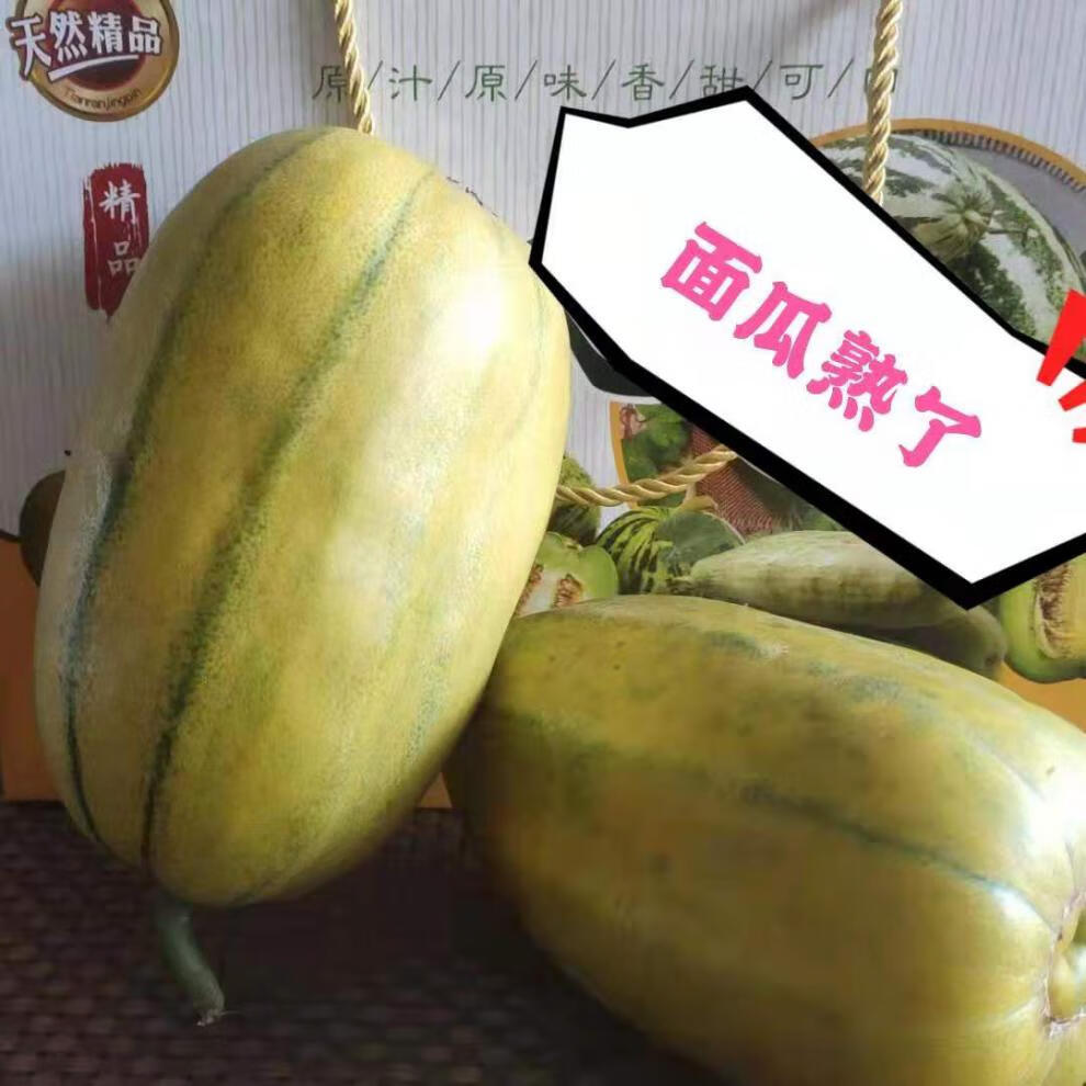 顺丰直达山东老面瓜黄皮面瓜黑皮面瓜香瓜老年人瓜果低糖瓜成熟采摘三