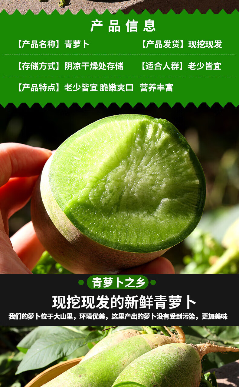 潍坊水果萝卜 潍县脆甜生吃特产新鲜微辣青萝卜水果萝卜应季 手工精选