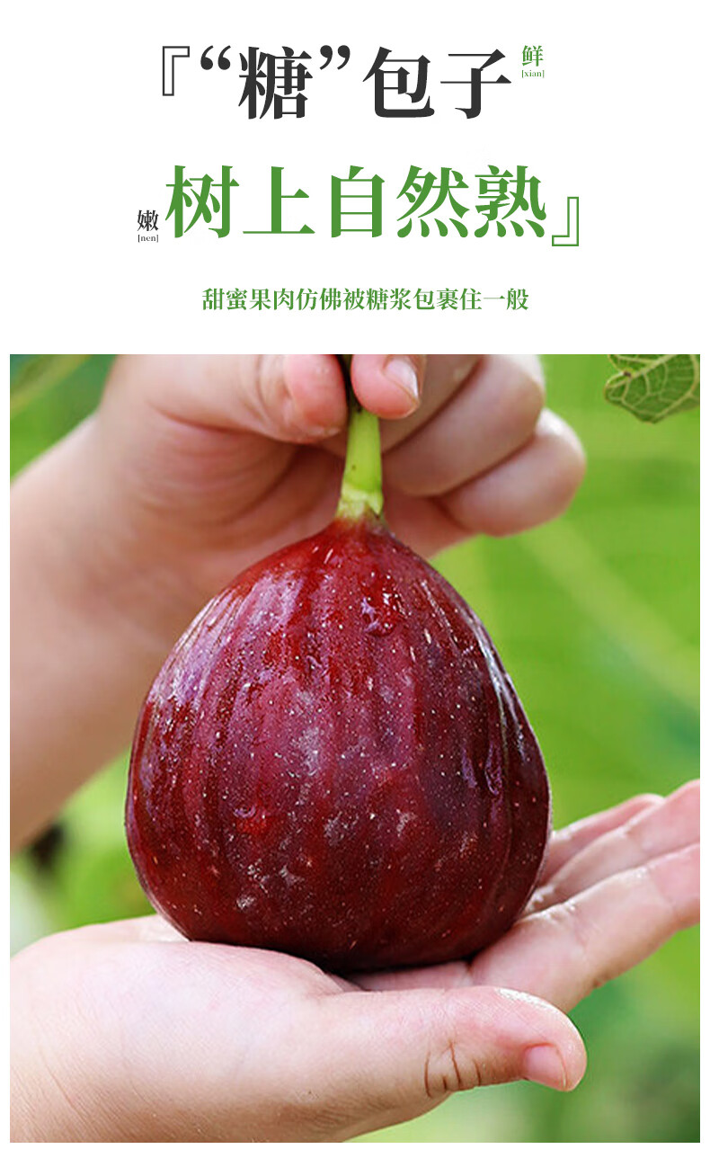 果王10斤云南无花果鲜果新鲜汁液现摘糖包子当季孕妇水果整箱 2500g