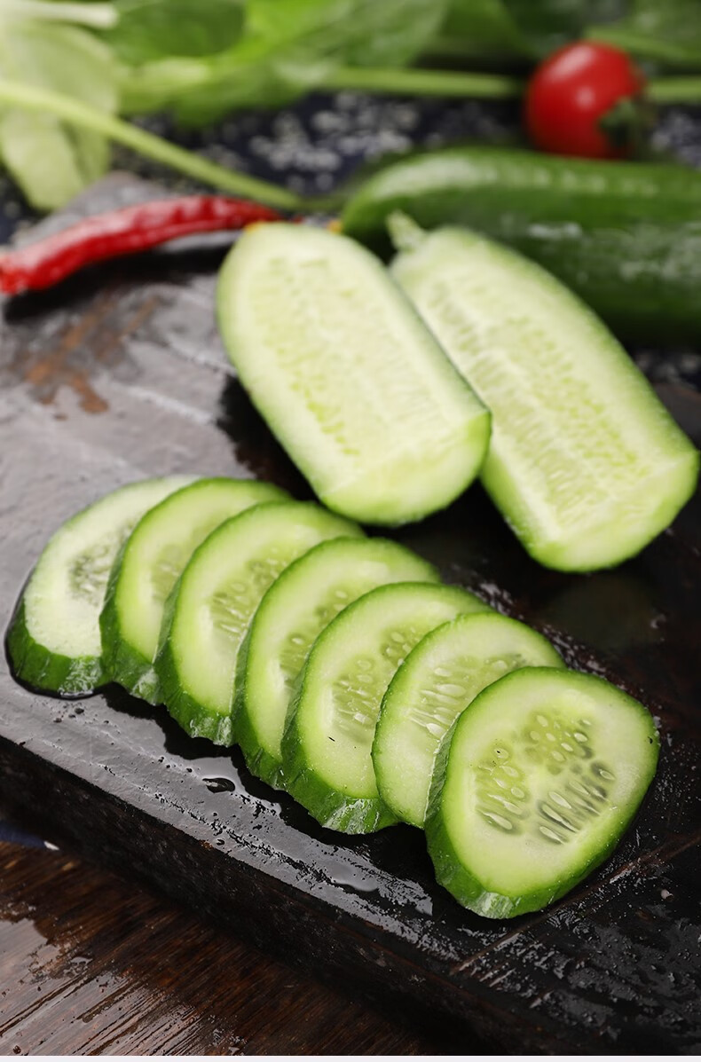 寿光蔬菜水果黄瓜生吃脆新鲜5斤青瓜荷兰当季无刺小黄瓜现摘 5斤