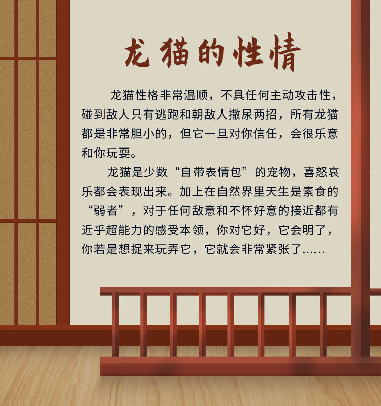 类型:龙猫宠物性别:公商品毛重:100.