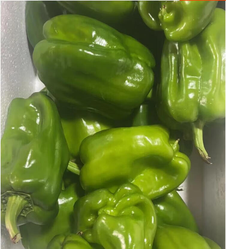 媚调东北青圆椒 麻椒青椒【发顺丰】薄皮辣椒 农家新鲜蔬菜 2斤【图片