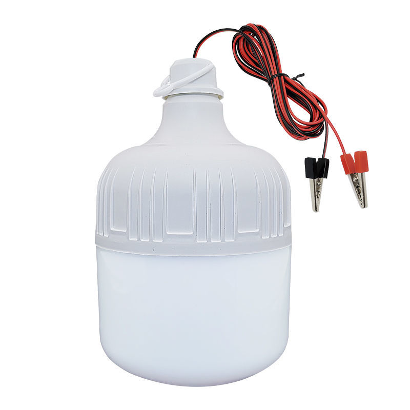 12v36v48v低压灯泡电瓶灯摆地摊夜市12伏低压交直流家用应急防爆灯泡