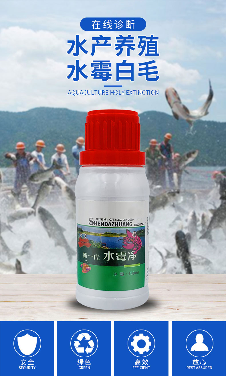 水霉新一代水霉净硫醚沙星水霉清水产鱼虾养殖白毛病腐皮烂鳃烂尾100