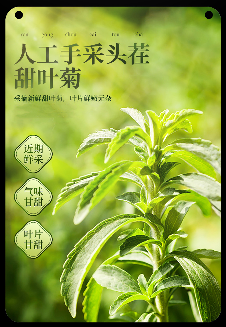 甜菊葉甜葉菊新貨茶葉花草茶甜菊葉配決明子人參葉瘦瘦過檸檬茶玫瑰花