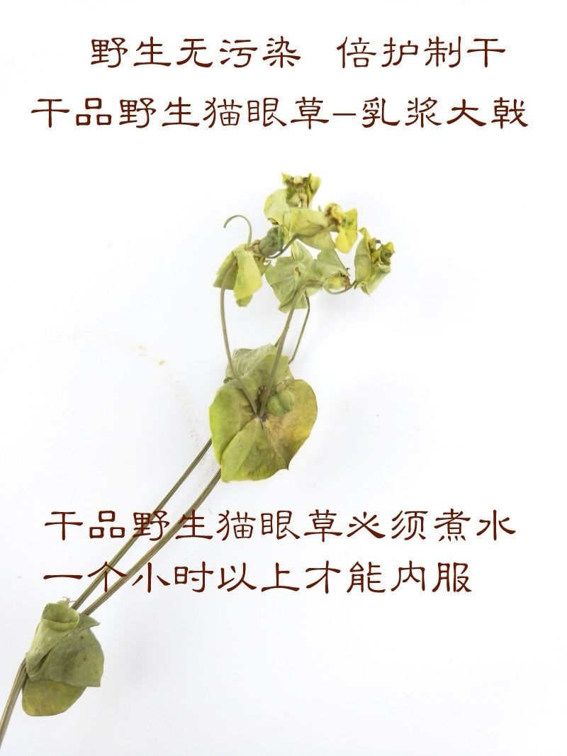 伟博干品细叶猫眼草泽漆五朵云阴干货中药材耳叶大戟 200粒左右泽漆