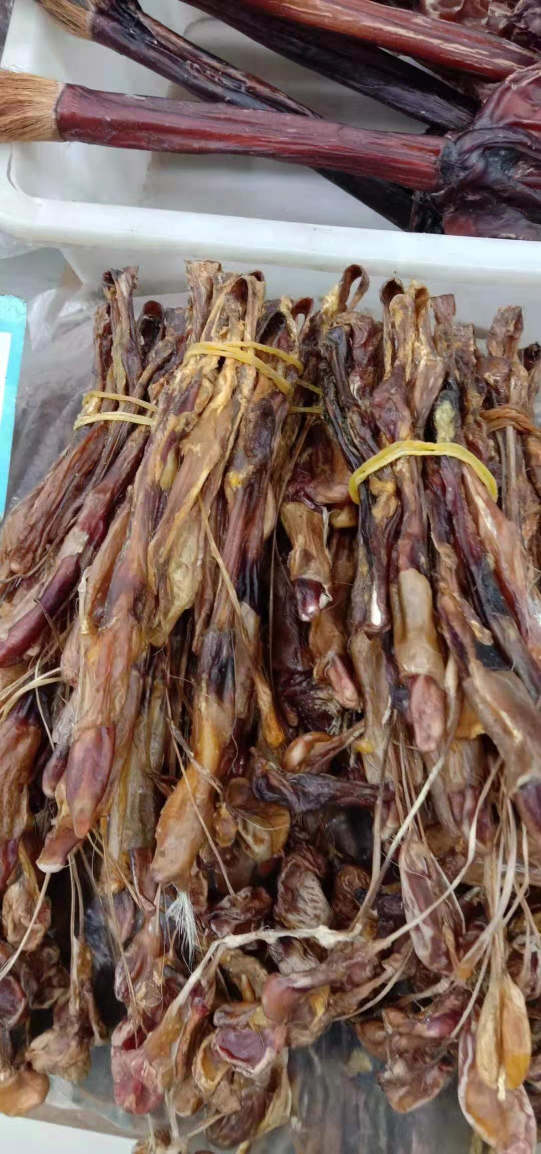 速如康 中药材 海鞭 海肾带睾丸 适用男养生大补入药优质煲汤泡酒料