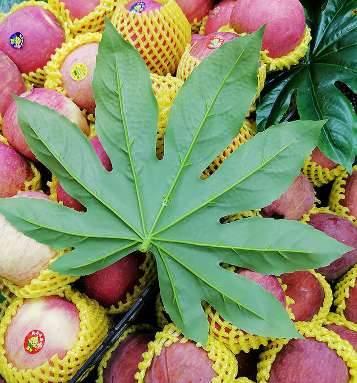 磐阙磐阙上新仿真八角叶子水果店装饰假绿叶金盘叶方真树叶大小号批发