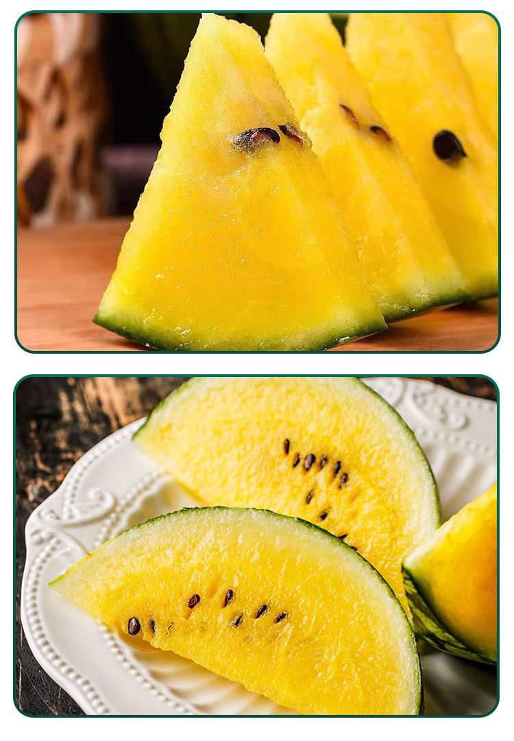 现摘现发特小凤西瓜黄心富硒黄瓤黄肉黄壤当季甜瓜新鲜孕妇 特小凤【2