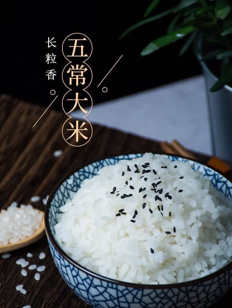 年货节义稻香米10斤义稻长粒香大米黑龙江省五常东北大米特优好米5kg