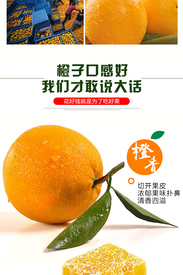 秭归脐橙橙子湖北纽荷尔脐橙新鲜水果现摘现发3斤大果分享装