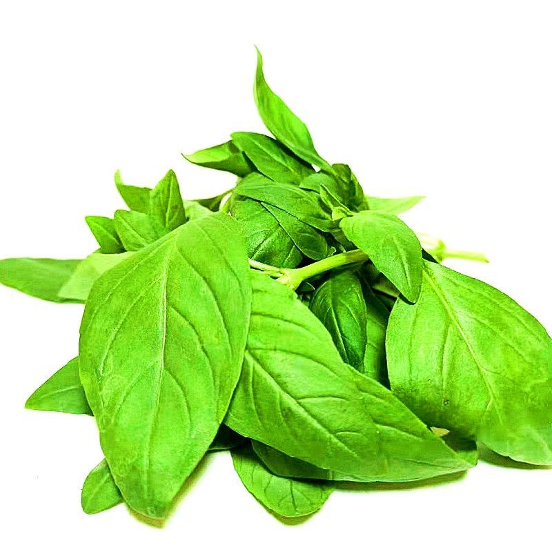 (顺丰)新鲜甜罗勒叶食用披萨草泰国品种罗勒酱调料青酱 半斤250g
