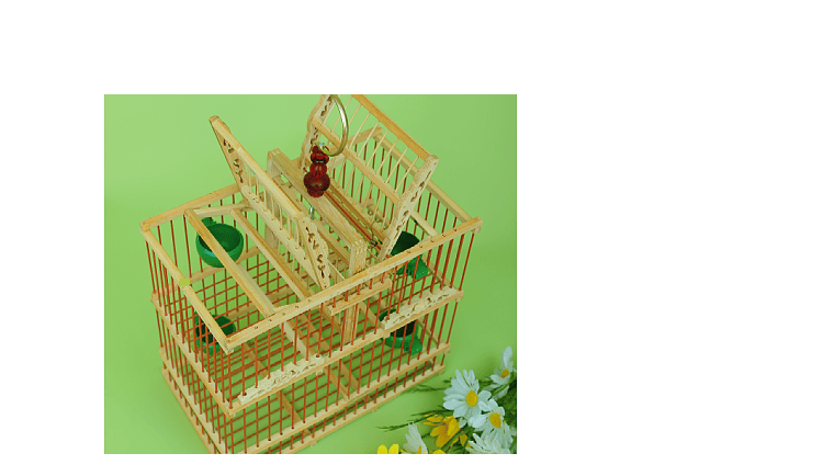 新款竹制鸟笼拍笼打笼机关笼特大号鸟笼子救助鸟笼子鸟笼鸟具批发 38*