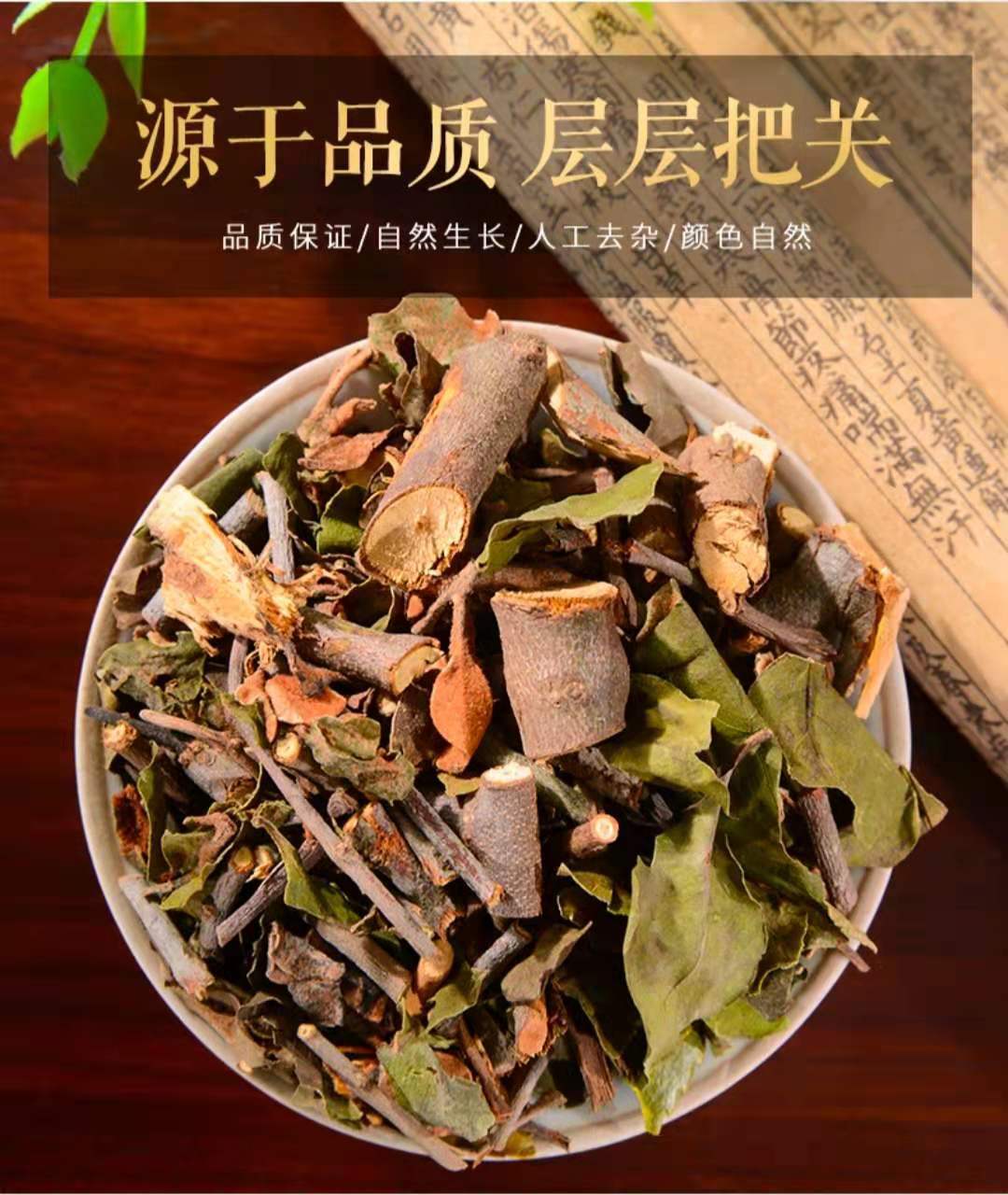 北桑寄生药用价值图片