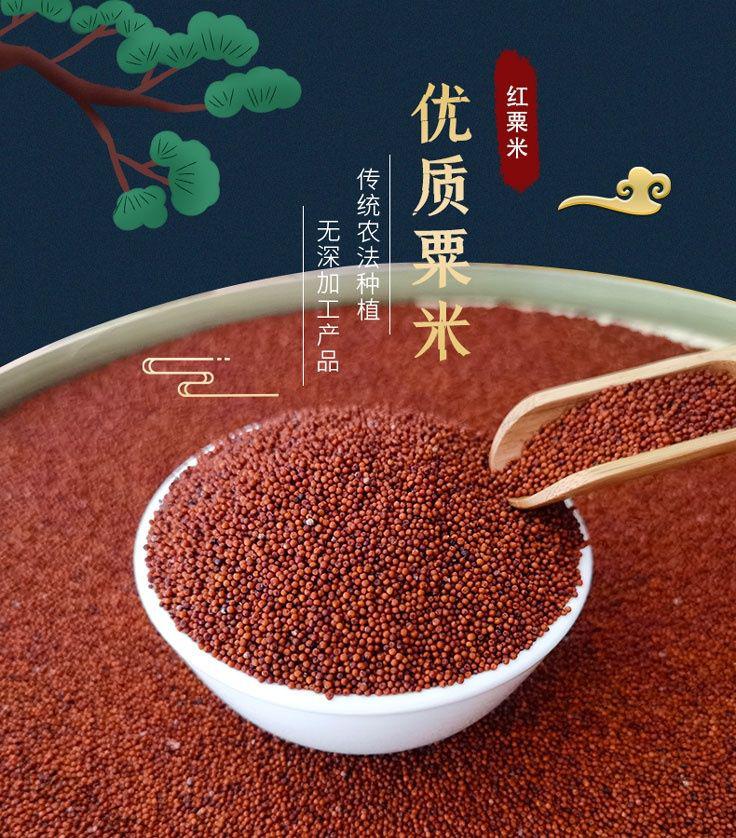 茗老汉 广西特产红粟米 5斤 鸭脚粟龙爪粟拳头粟掺子糙米五谷杂粮代餐