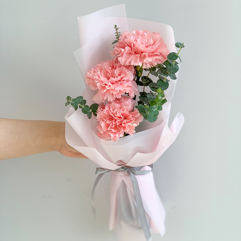 馨仪鲜花速递康乃馨花束送老师妈妈长辈生日礼物全国同城配送花店送花