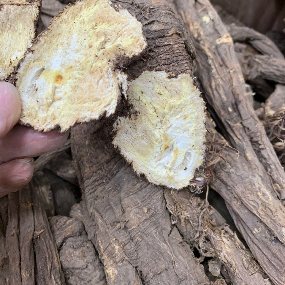 西藏野生当归原条 小条 500g【图片 价格 品牌 报价】-京东