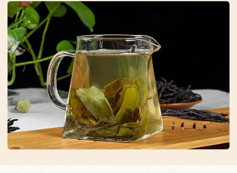 苦丁茶大叶苦丁茶苦丁茶养生茶250g