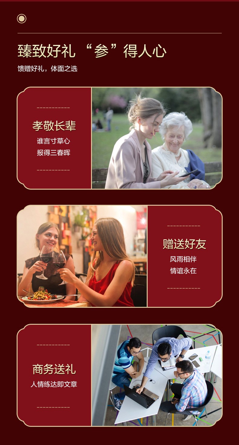 金日牌美国洋参胶囊05g粒12粒盒10盒西洋参洋参丸人参皂甙抗疲劳送礼