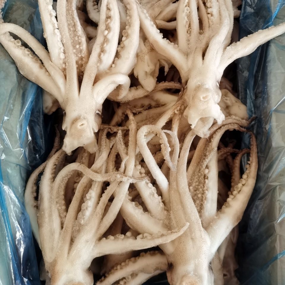 无冰衣新鲜鱿鱼头鱿鱼须章鱼冷冻鱿鱼抓批发八爪鱼鲜嫩鱿鱼须无冰衣2