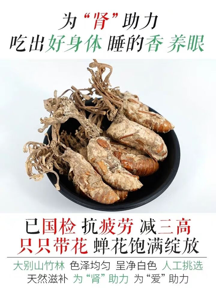 金蝉花 中药材野生金蝉花 大别山竹林蝉花知了花大虫草蛹虫草 100克