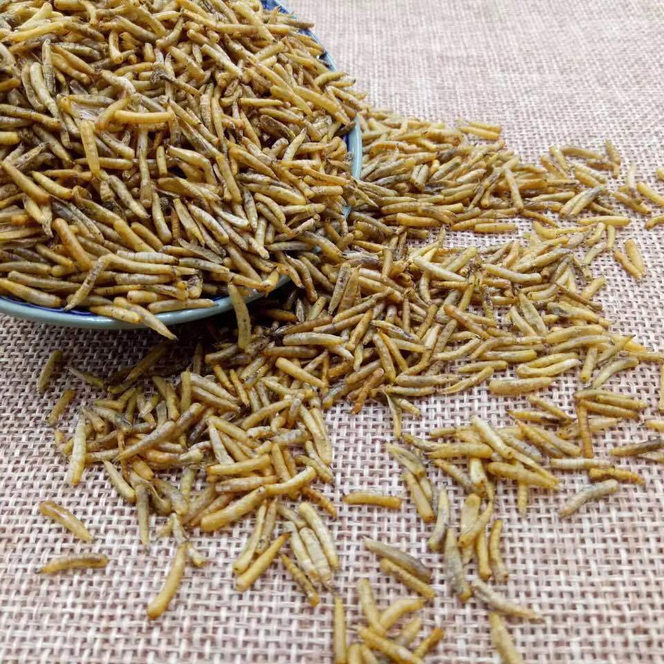 五谷虫中药材1000克蝇蛆粉五谷虫干蝇蛆干 另有蟋蟀蝗虫50克 500克