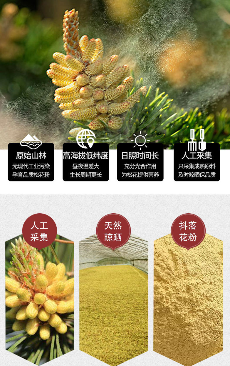 野生松花粉100g250g500g无添加头道新粉天然马尾松500g250g2罐特惠装