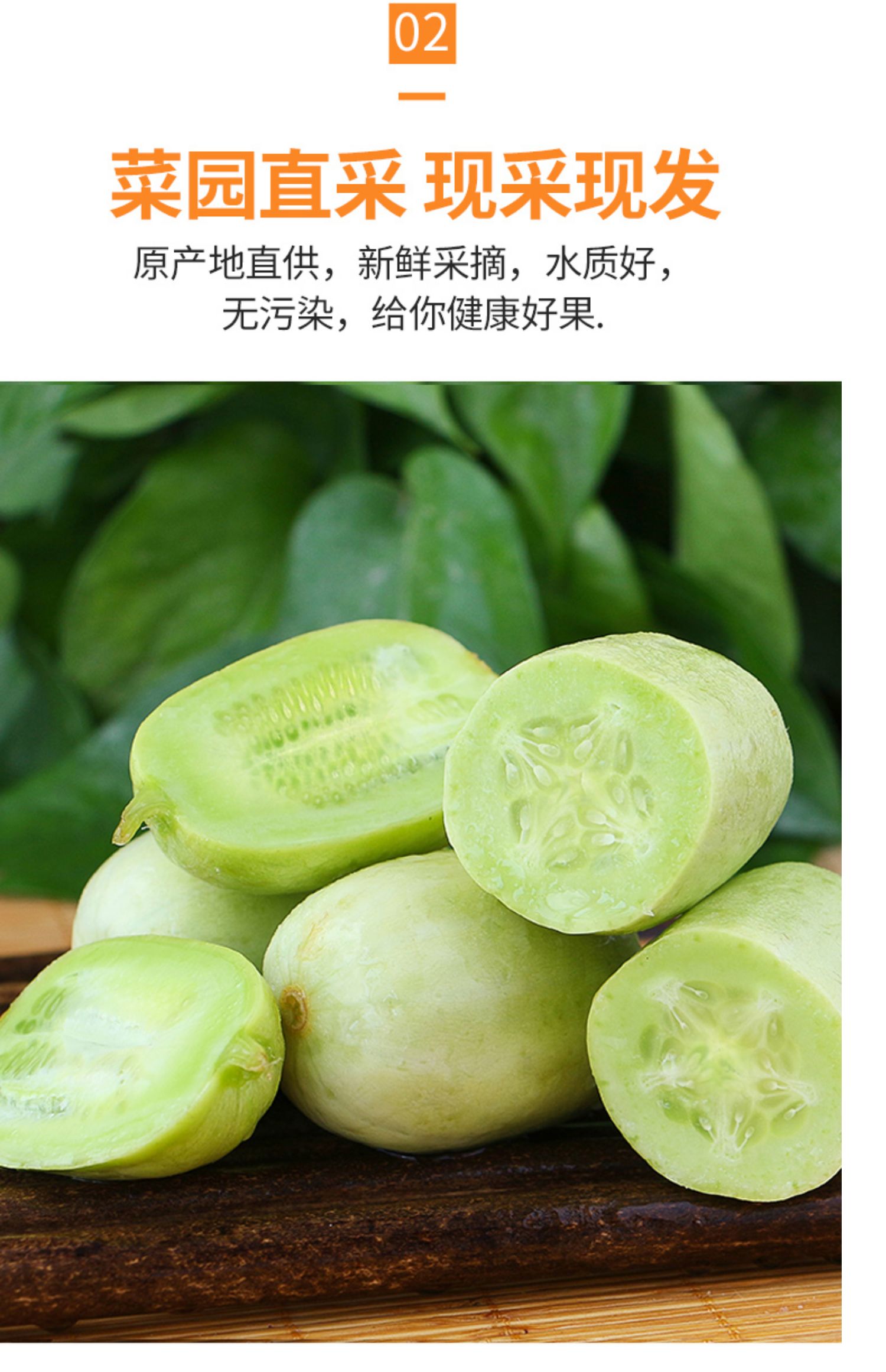 拇指黄瓜新鲜金童玉女水果小黄瓜旱白玉鲜嫩小青瓜山东蔬菜 3斤