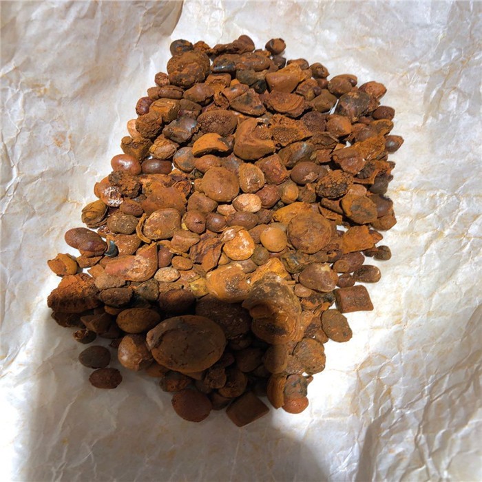 牛黄中药材 天然 西1g克 牛胆黄 质量保证 图片色