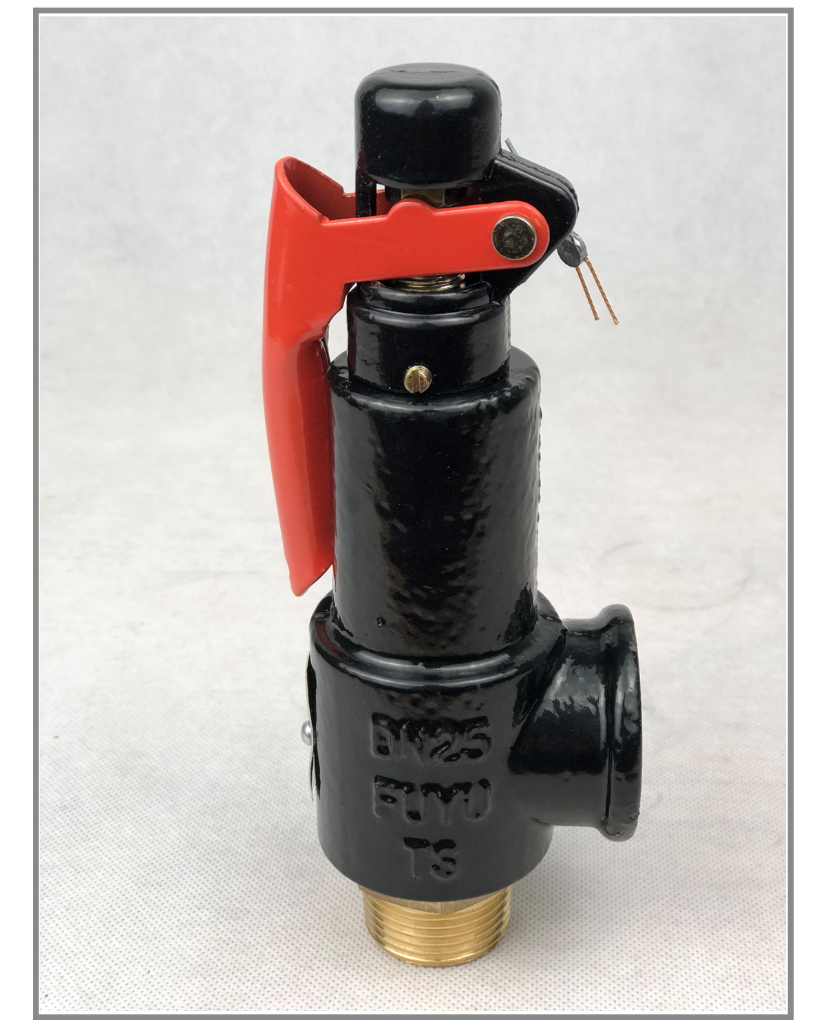 a27w-10t弹簧式安全阀a27w-16t储气罐安全泄压阀排气蒸汽锅炉 dn25