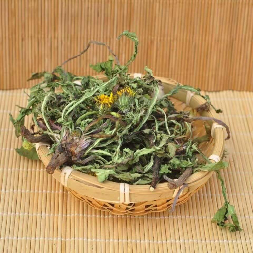 蒲公英干货蒲公英正宗蒲公英根茶整颗带根批发蒲公英婆婆丁 蒲公英500