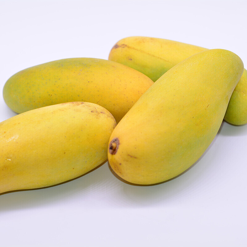 海南小象牙芒果3/5/9斤装 三亚腰玉芒台农金煌贵妃芒 热带应季水果