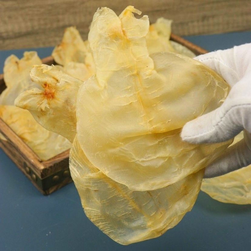 大号蜘蛛胶鱼胶干货q弹蜘蛛胶花胶鱼胶鱼泡鱼鳔香港喜爱孕妇26头蜘蛛